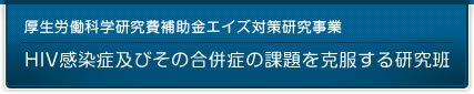 厚生労働科学研究費補助金エイズ対策研究事業　HIV感染症及びその合併症の課題を克服する研究班