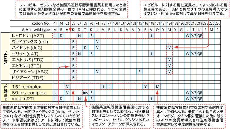 図その1 図その1